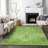 Premium Machine Washable Kiyondrea Aloe Rug-885147746