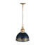 Luminaire suspendu 1 lumière Regena-106853598