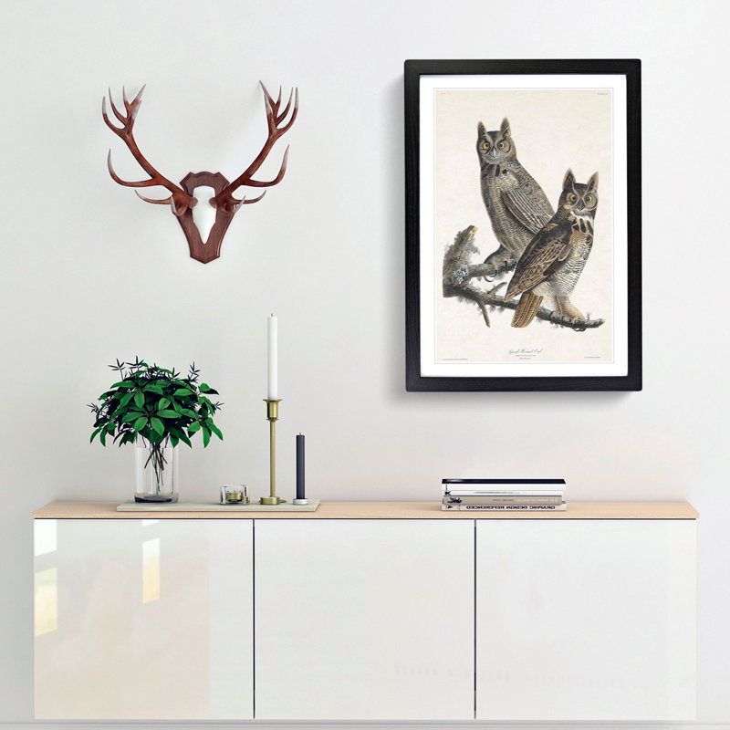 Great Horned Owls by John Audubon - Picture Frame Painting Print, 65cm H x 48cm W x 2cm D, Black Framed