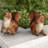 Ladd Squirrel Garden Statue 