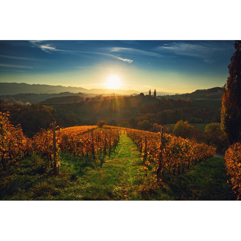 Wineyards fields 1 Piece Wrapped Canvas Wall Art, 51cm H x 76cm W