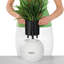 Pot Planter-393093552-332018649