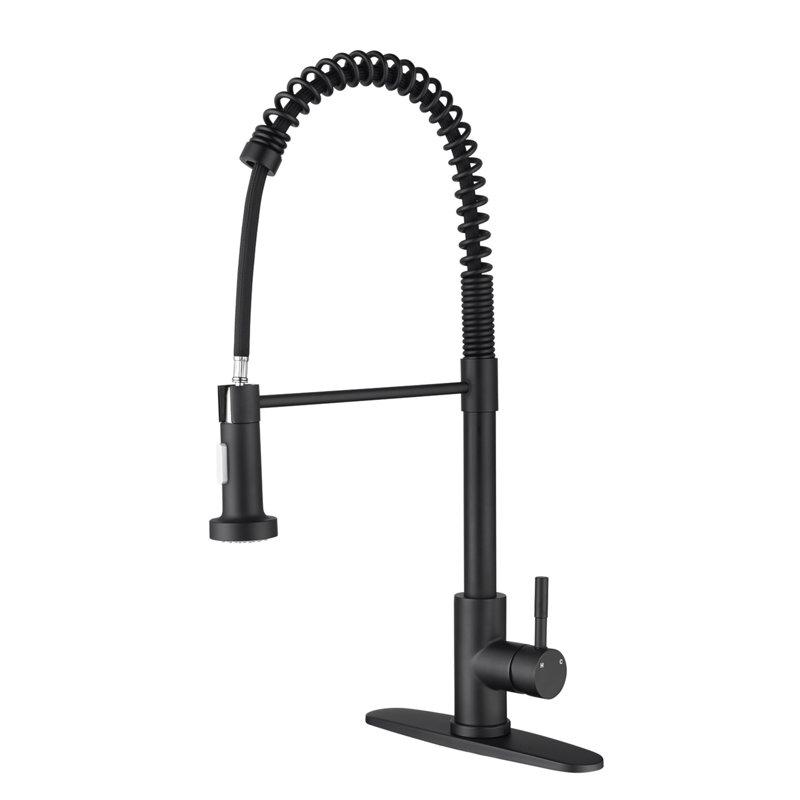 Kitchen Faucet With Pull Out Spraye
