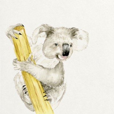 Bébé koala II