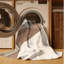 Tapis beige lavable à la machine moderne Luray - reliure beige-805344878