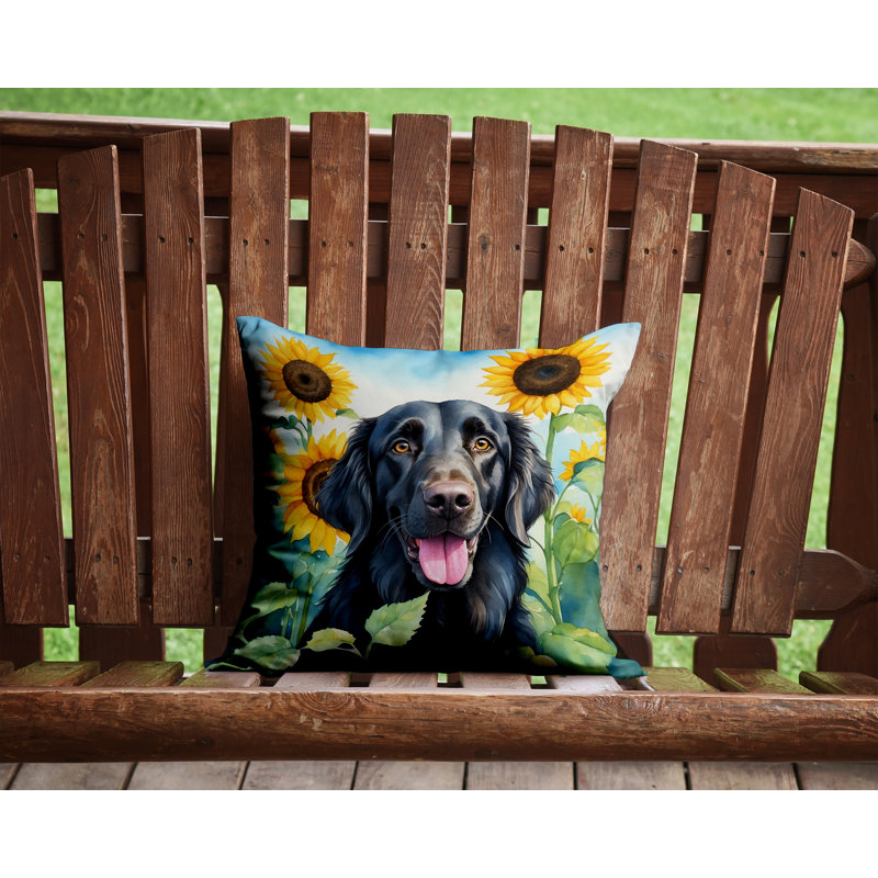 Other/No Pattern Outdoor Throw Pillow, 14" H x 14" W