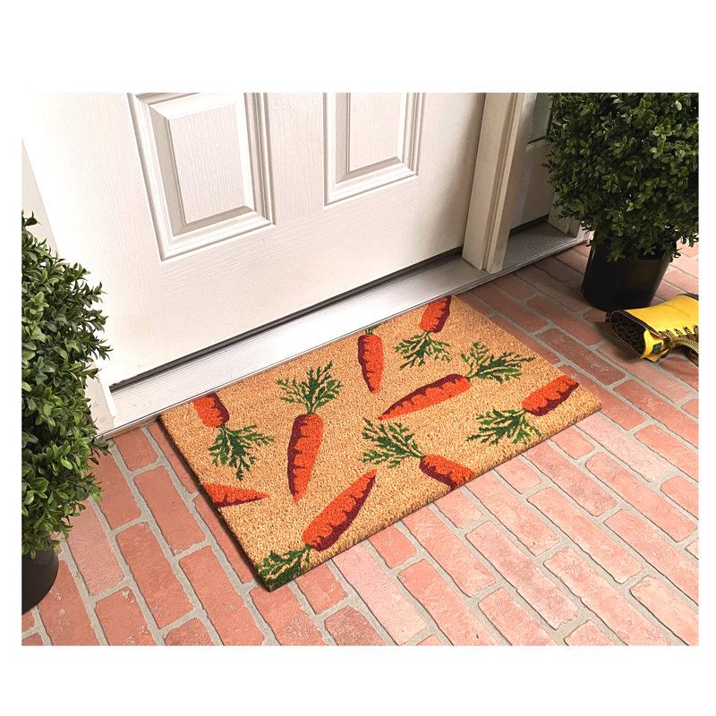 Danilyn Non-Slip Doormat, 17" W x 29" L