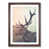 Walnut Framed selected
