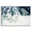 «Silent Forest-Lynx» par Ron Parker, art mural en verre acrylique,-291277658