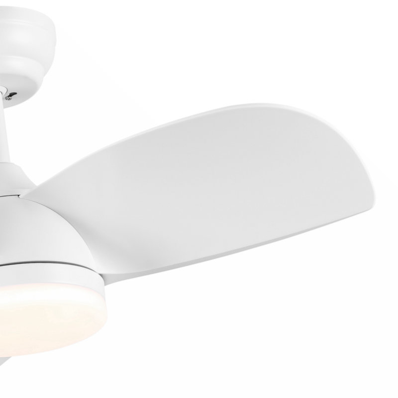 Jareem 28'' Ceiling Fan with LED Lights