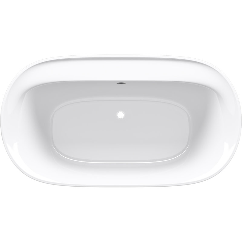 Spectacle 65.44'' L Freestanding Soaking Bathtub