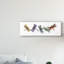 «Wings of Splendor II» par Wendy Russell - impression d'art graphique-33520949