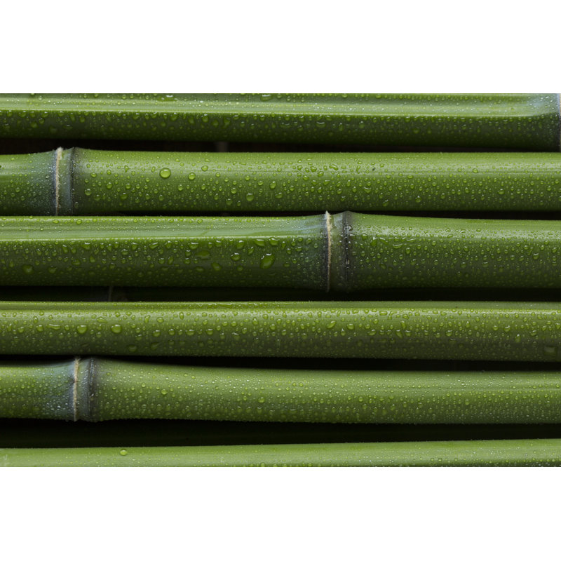 Bamboo Sticks Background by ALEAIMAGE - No Frame Art Prints on Canvas, 61cm H x 91cm W
