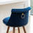 Roundhill Furniture Elvara Set of 2 Button-Tufted Counter Stools with Nailhead Trim-1634937320