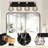 Dimmable Vanity Light-101799103