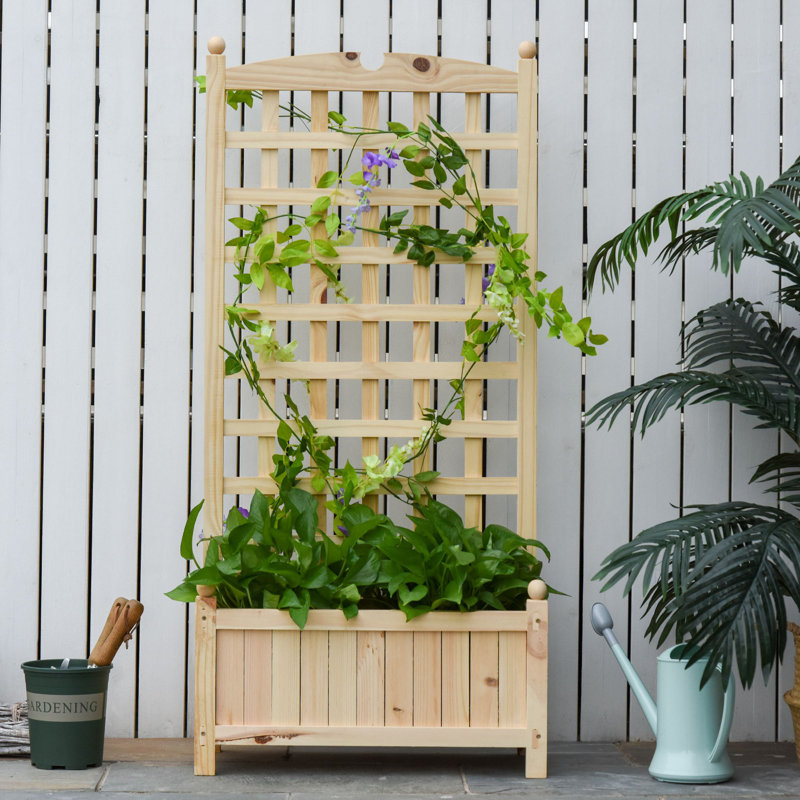 Espiridion Wooden Raised Garden Bed with Trellis, Outdoor Freestanding Planting Planter Box, 49" H x 24" W x 12" D
