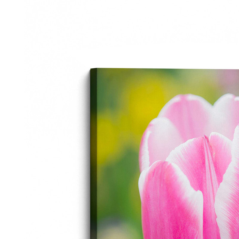 «Pink Tulip Blossoms II» par Sonja Quintero, reproduction d'art sur toile, H 18 po x l 12 po