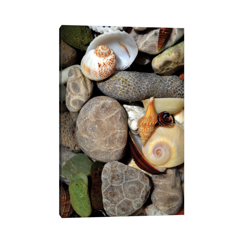 Petoskey Stones II by Michelle Calkins - Wrapped Canvas Print