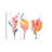 September Blooms II by Lanie Loreth - Wrapped Canvas Painting-1308446589