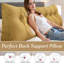 Bed Wedge Backrest Pillow-271195636-271195634