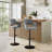 Lakyia Swivel Upholstered Adjustable Height Counter Stool with Metal Frame-99402228-99402230