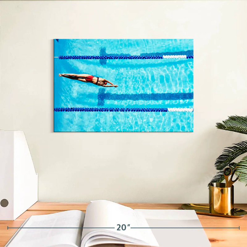 Athlète de natation de compétition Sireci, H 8 po x l 12 po