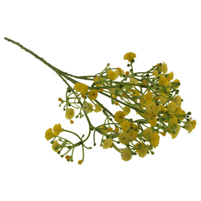 Gypsophila Arrangement