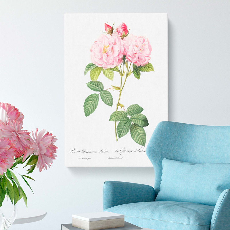 Italian Damask Rose In Pink by Pierre-Joseph Redoute - Wrapped Canvas Painting, 50cm H x 35cm W x 3cm D