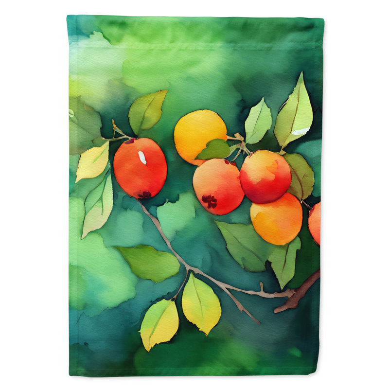 Drapeau de maison en polyester à double face H 40 po x l 28 po