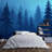 Misty Midnight Blue Forest-1612312299