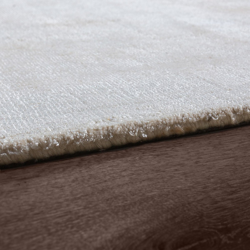 Tillinger Rectangle Viscose Hand Woven Area Rug, Rectangular 200 x 300cm