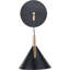 Tescott Iron LED Armed Sconce