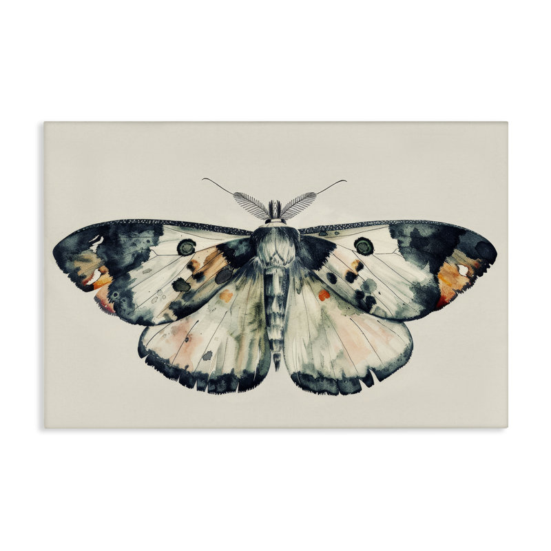 «Watercolor Black» par Petal Prints Design, H 30 po x l 45 po
