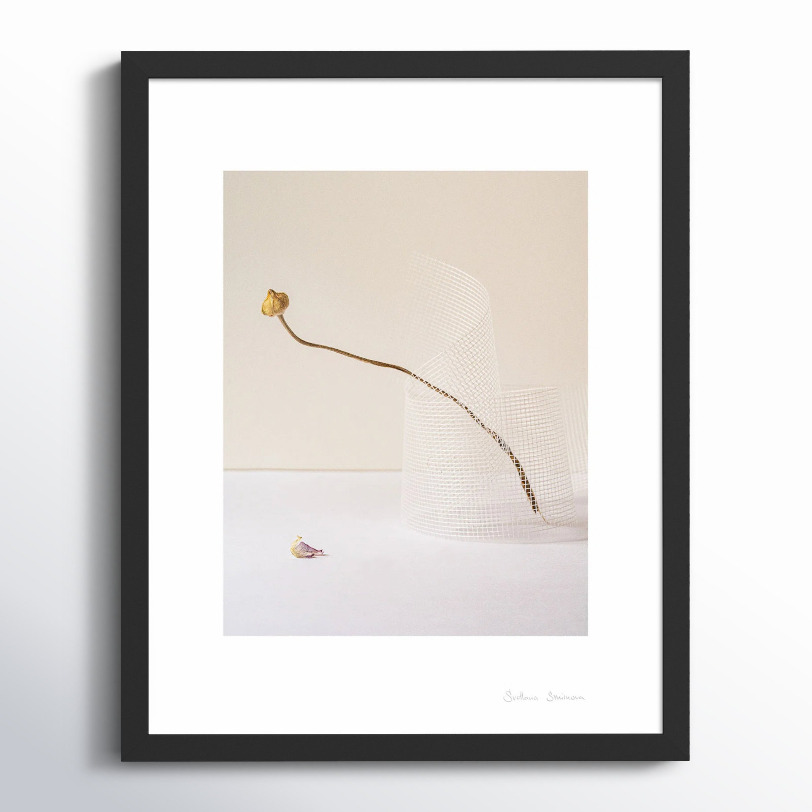 Lombard "Balance 2" Photo Print, Black, 20" H x 16" W x 1.25" D