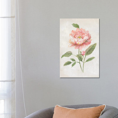 Grandiflora III by Nan - Wrapped Canvas Graphic Art 1 Piece Wrapped Canvas Wall Art