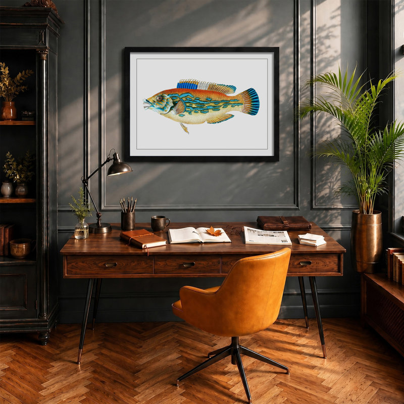 Striped Bass Fish by Edward Donovan - Framed Print, 48cm H x 65cm W x 2cm D, Black Framed