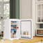 10L Portable Mini Fridge with Cool, Car Refrigerator with Cooler& Warmer, Countertop Mini Fridge with Handle-120343963-135866285