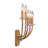 Joleon Wall Sconce