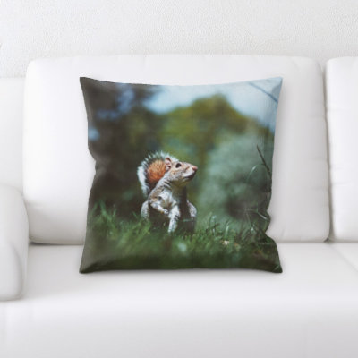 Coussin écureuil