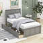 Elarna Twin Size Wood Platform Bed with 2 Drawers-2085044479
