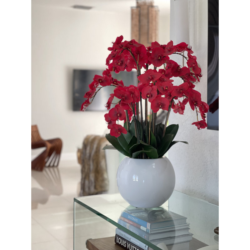 Phalaenopsis Orchid Floral Arrangement in Pot, Red