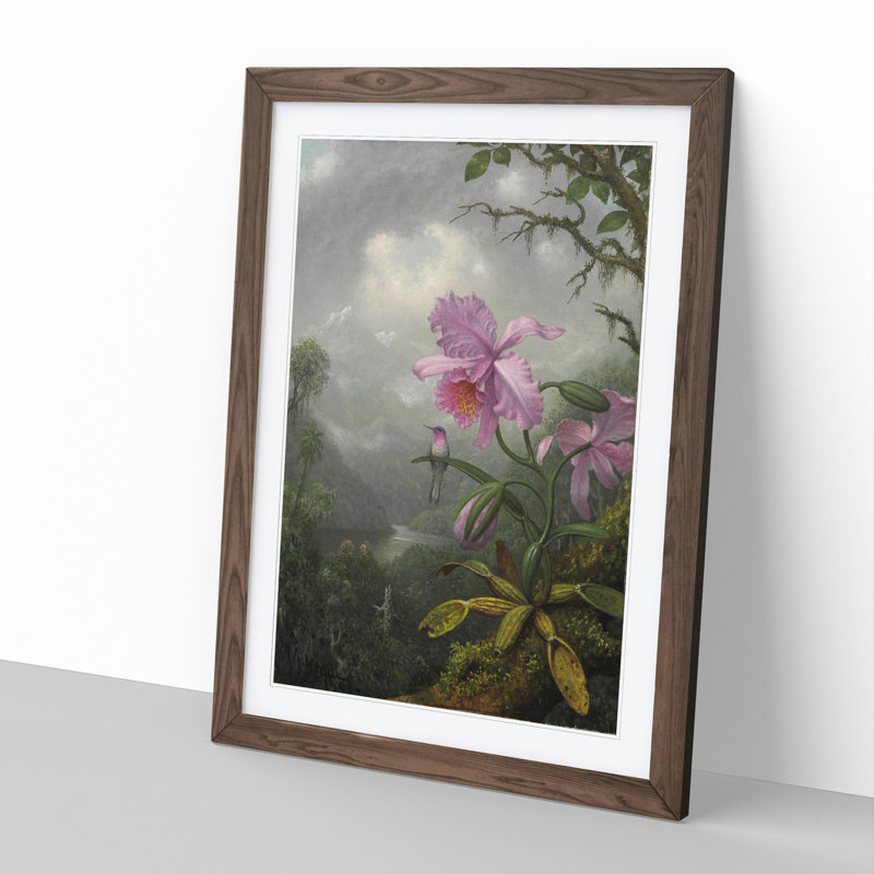 Hummingbird on the Orchid Plant by Martin Johnson Heade - Picture Frame Painting, 48cm H x 36cm W x 2cm D, Walnut Framed