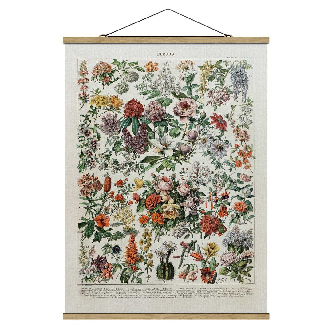 Stoffbild Vintage Educational Board Blumen II