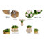 Arrangement floral Lehman-88536440