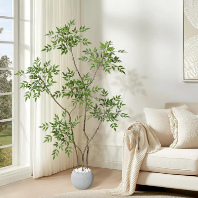 150cm Plant