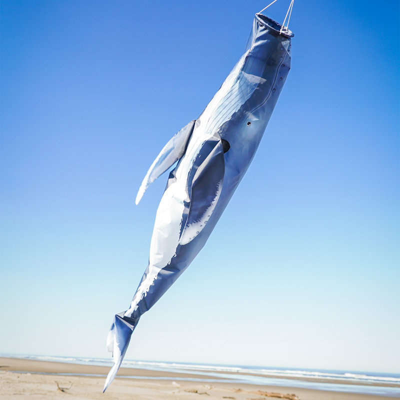 Baleine à bosse à bosse 48 po