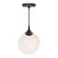 Nedra Single Light Glass Steel Pendant-66310703
