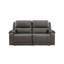Causeuse modulaire inclinable électrique 2 pièces 5Z-Harrenhurst