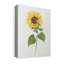 Sunflower II - Wrapped Canvas Painting-540635483