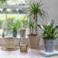 Pot Planter